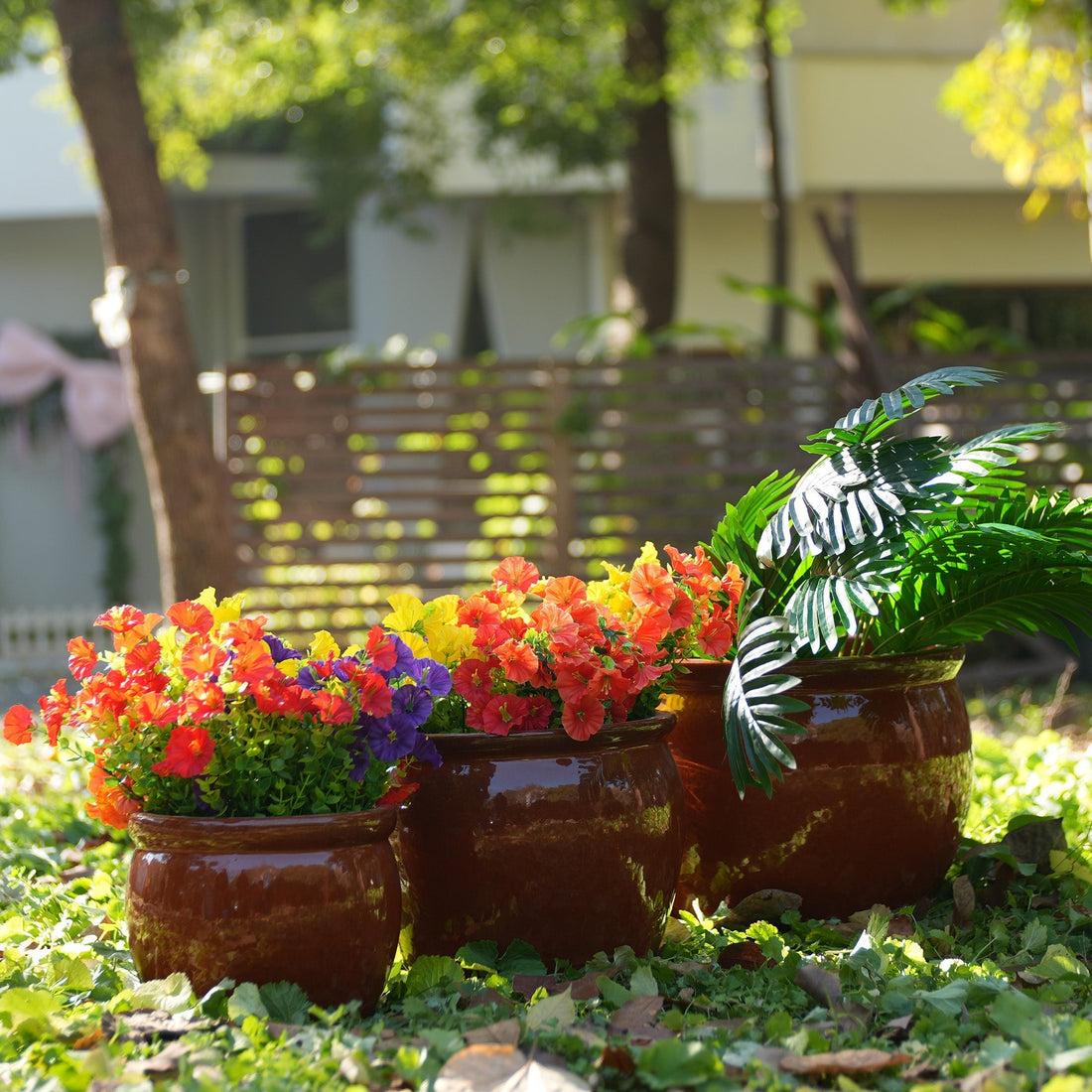 Ceramic Planters for Succulents: A Complete Guide Mudanjie