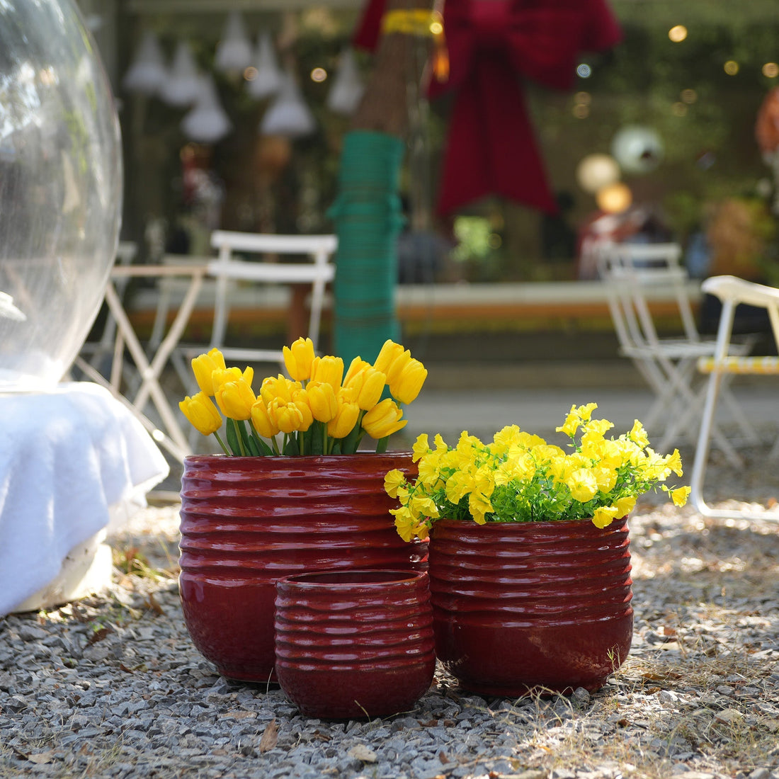 Best Plant Pots for Indoor Plants Mudanjie