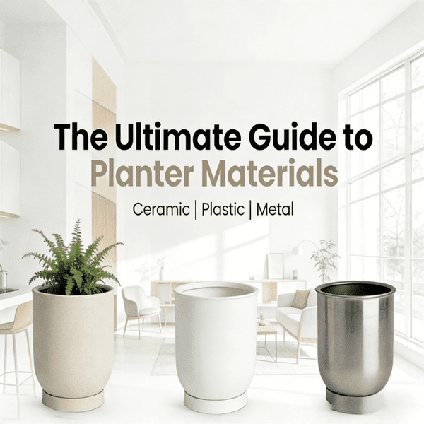 Planter Materials: Ceramic vs Plastic vs Metal | Ultimate Guide