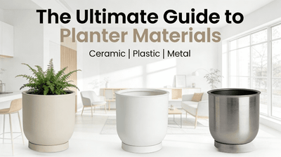 Planter Materials: Ceramic vs Plastic vs Metal | Ultimate Guide