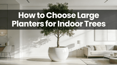 How to Choose Large Planters for Indoor Trees