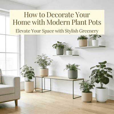 How to Decorate Your Home with Modern Plant Pots