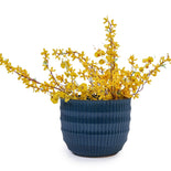 Modern Ceramic Planters