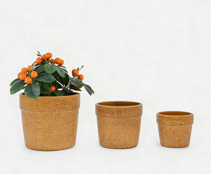 Mudanjie 3pcs 9/12/15'' Glossy Ceramic Planter with Drainage