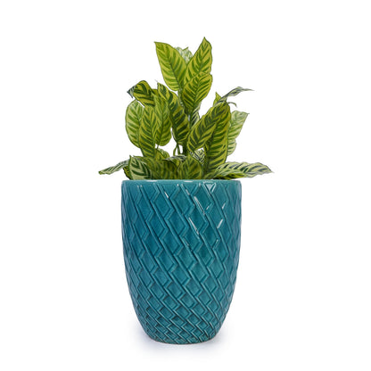 Ceramic Planter, 16.54 inch Plant Pot with Drainage Hole, Large Planter for Plants Bougainvillea, Shrubs, Small Trees, Indoor/Outdoor Tall Flower Pot for Plant Gifts Generic