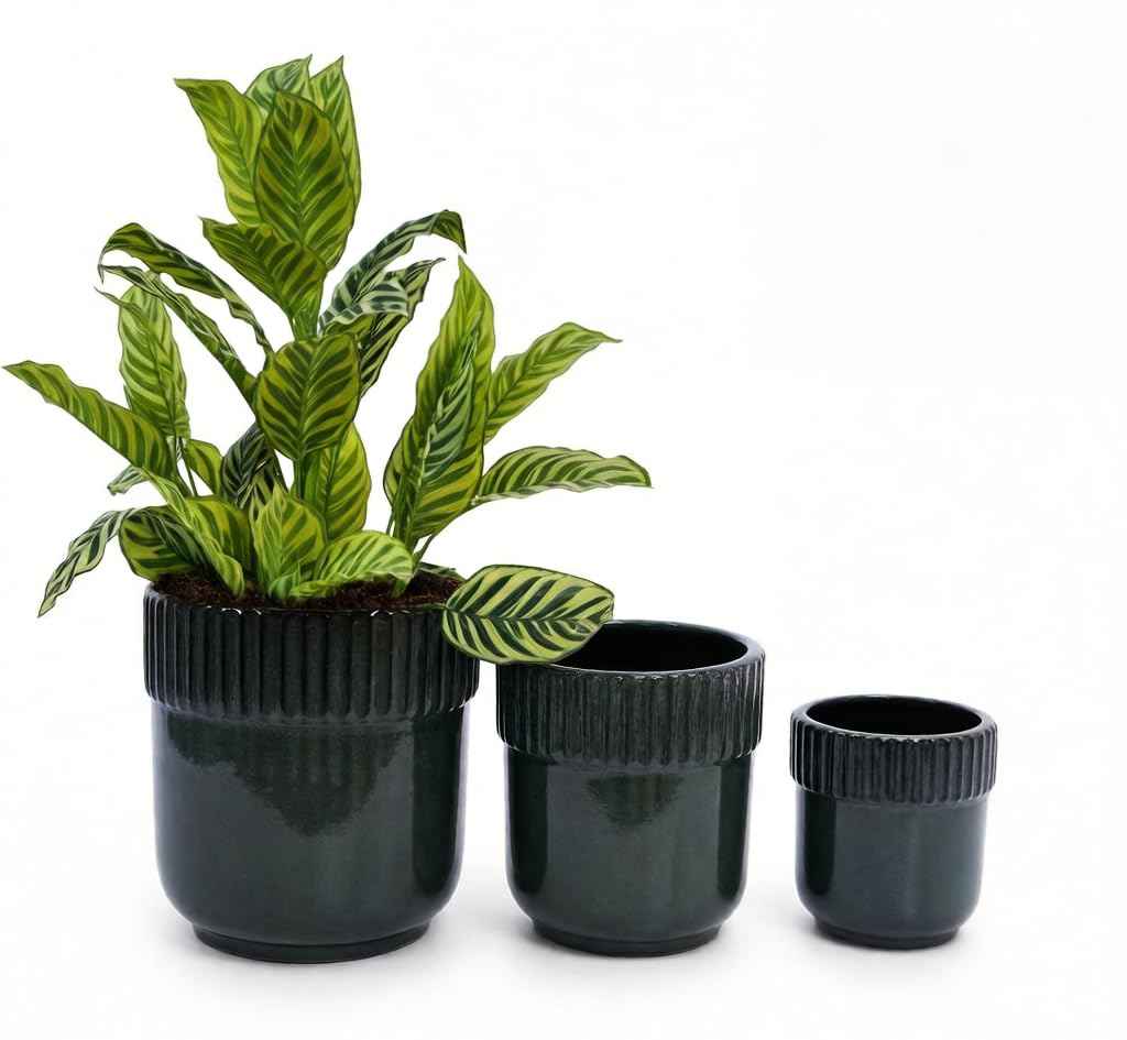 Mudanjie 3pcs 9/12/15'' Ribbed Glazed Ceramic Planter with Drainage