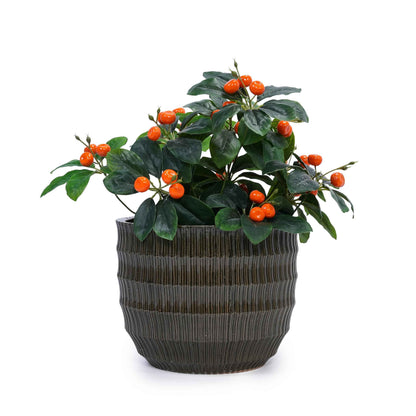 Mudanjie 4pcs 5.31-14.17'' Handmade Ceramic Planter Set with Drainage