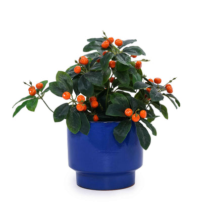 Mudanjie 3pcs 9/12/15'' Glazed Ceramic Planter with Drainage