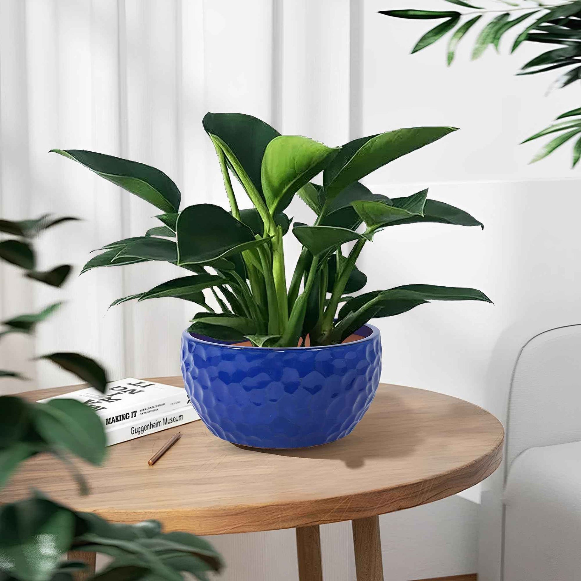 Mudanjie 3pcs 9+12+15'' Ceramic Planter Set with Drainage for Plants
