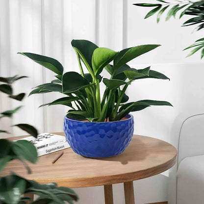 Mudanjie 3pcs 9+12+15'' Ceramic Planter Set with Drainage for Plants