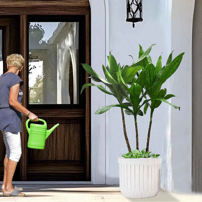 Mudanjie 4pcs 6-12'' White Ceramic Planter Set with Drainage for Succulents Cacti