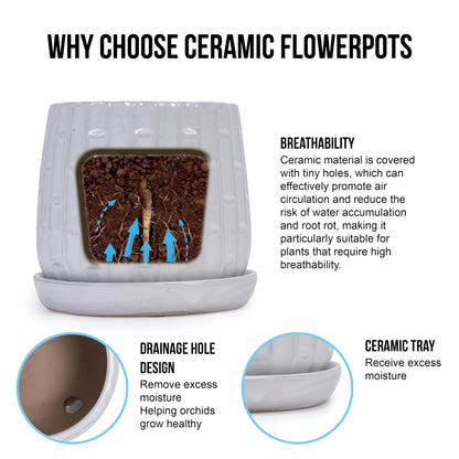 Ceramic Plant Pots, Set of 2 Flower Pots with Drainage Hole and Saucers, Bamboo Pattern Planter for Plants Orchids Succulents Indoor/Outdoor, Plant Gifts Generic