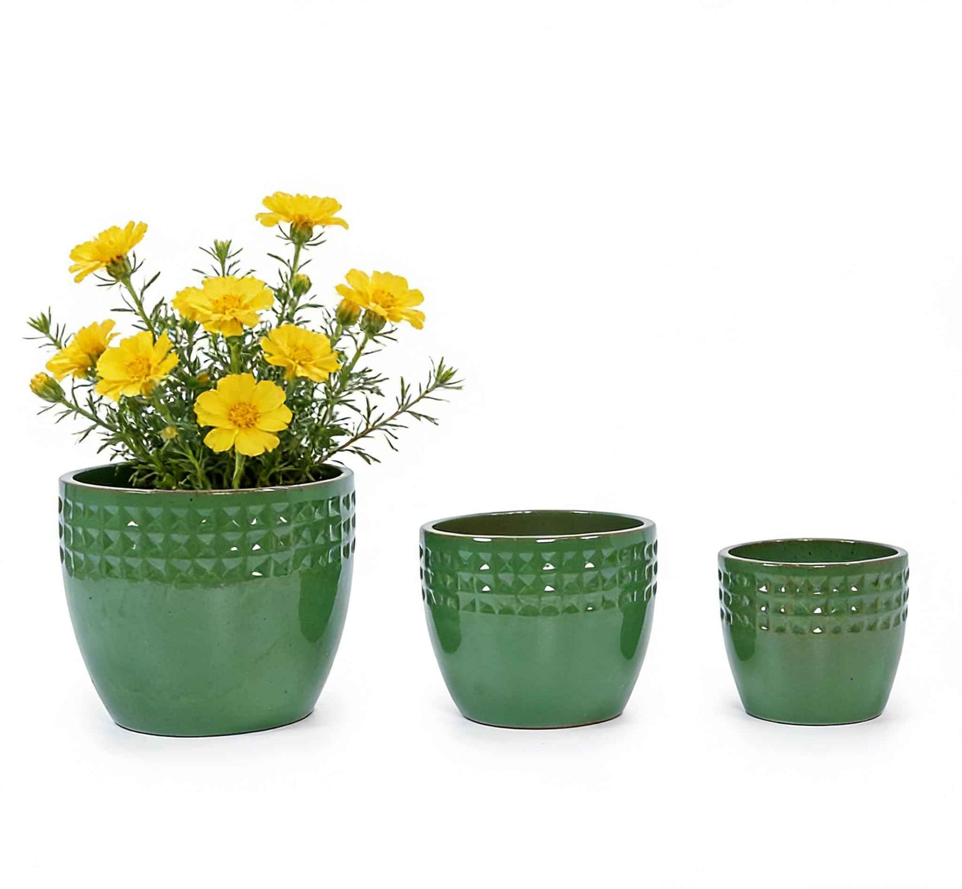 green ceramic indoor plant pots mudanjie 3pcs Diamond Pattern Ceramic Planter Set – Mudanjie