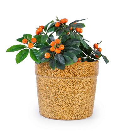 Mudanjie 3pcs 9/12/15'' Glossy Ceramic Planter with Drainage